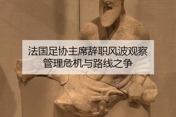 法国足协主席辞职风波观察 管理危机与路线之争